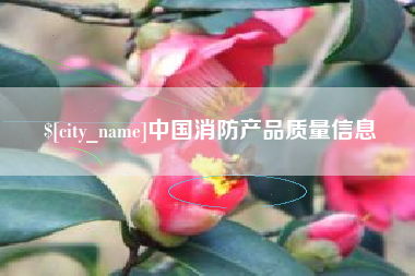 南城中国消防产品质量信息