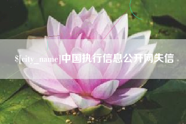 南城中国执行信息公开网失信