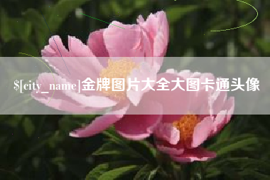 南城金牌图片大全大图卡通头像