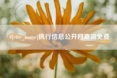 南城执行信息公开网查询免费