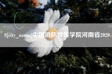 南城中国消防救援学院河南省2020